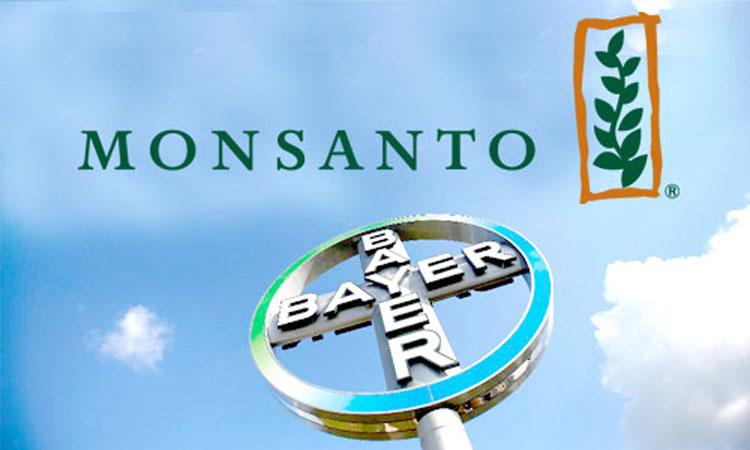 Monsanto Übernahme soll noch in diesem Jahr abgewickelt werden
